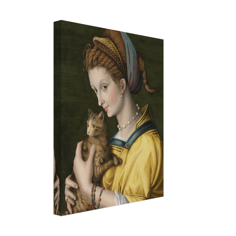 Portrait of a young lady holding a cat by Antonio d'Ubertino Verdi, Bachiacca