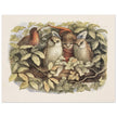 Richard Doyle illustration for Fairyland book. Elves and owls