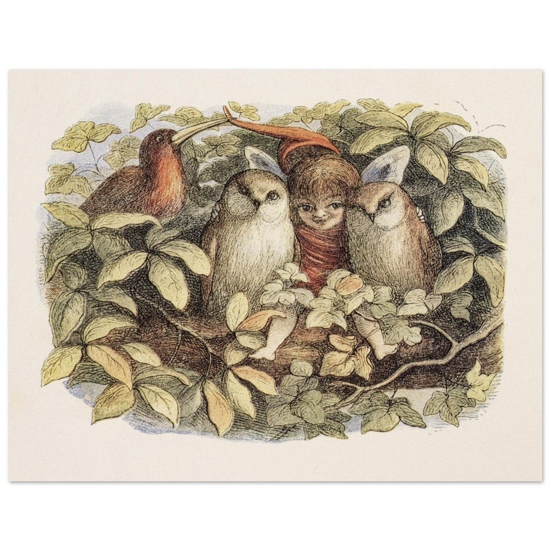 Richard Doyle illustration for Fairyland book. Elves and owls