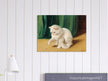 Cat with Ladybird old painting by Arthur Heyer.