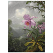 Hummingbird Perched on the Orchid Plant  by Martin Johnson Heade