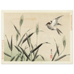 Bird flying among grasses by Matsumura Keibun, 1892.