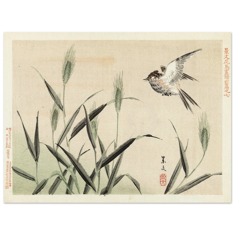 Bird flying among grasses by Matsumura Keibun, 1892.