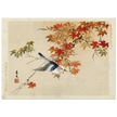 Bird flying at autumn branches by Matsumura Keibun, 1892 .