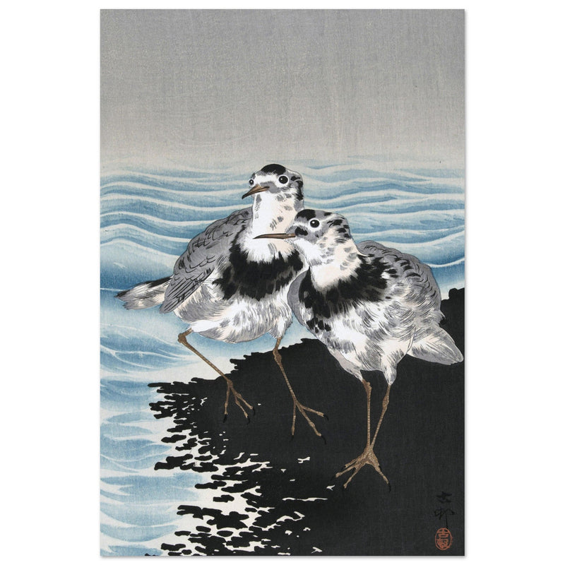 Great knot sandpipers by Ohara Koson woodblock print reproduction