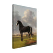 Antique painting of black horse by Anthony Oberman 1828. The fast one in a Meadow.