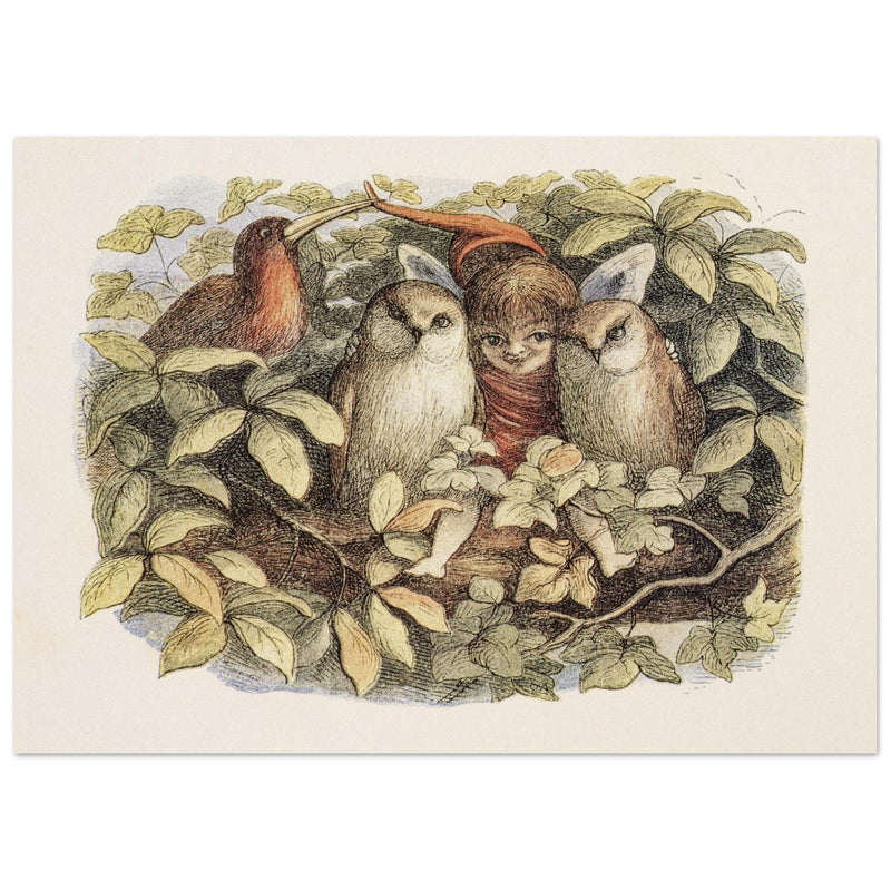 Richard Doyle illustration for Fairyland book. Elves and owls