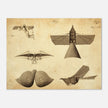 Different flying machines from the past. Old vintage airplanes. Aviation history.