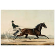 Racehorse Mac by  Nathaniel Currier 1853.