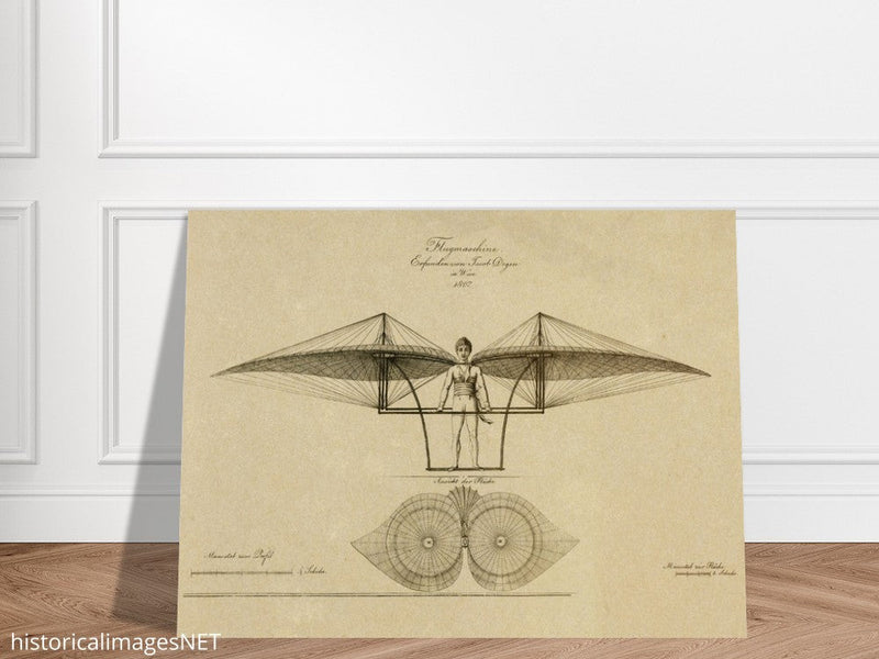 Flight machine invented by Jacob Degen in  1807 also called Degen ornithopter.
