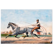 Harness cart horse racing. Grey Eddie by Nathaniel Currier 1855.