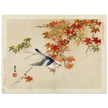 Bird flying at autumn branches by Matsumura Keibun, 1892 .