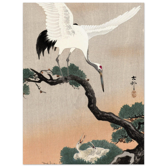 Japanese crane on pine branch by Ohara Koson