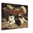 Bonne Mere a cat and her kittens by Charles van der Eycken