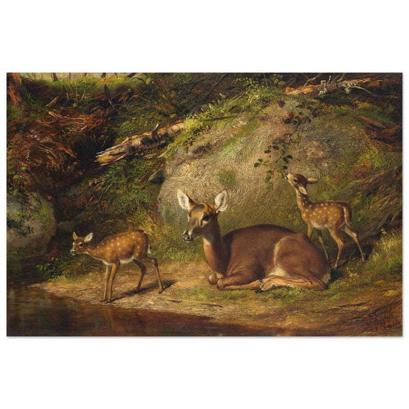 Doe and Two Fawns by Arthur Fitzwilliam Tait  1882. Deer inside forest.