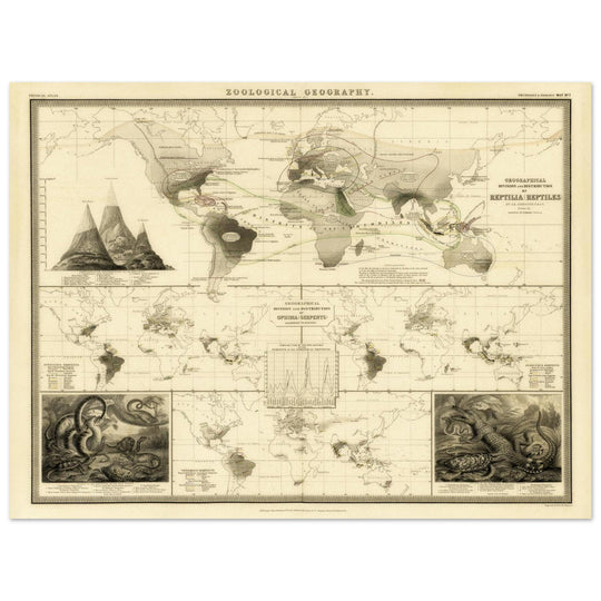 Reptile distribution old world map. Print  of zoology geography 1848 by Alexander Keith Johnston