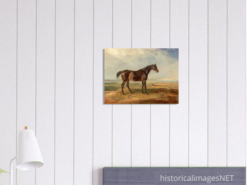 Old painting of brown horse by James Ward 1820.