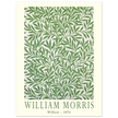 William Morris Willow