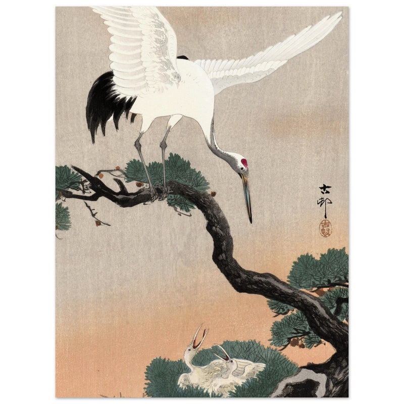 Japanese crane on pine branch by Ohara Koson