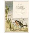 The Robin poem About Robins bird illustration by Lady Lindsay.