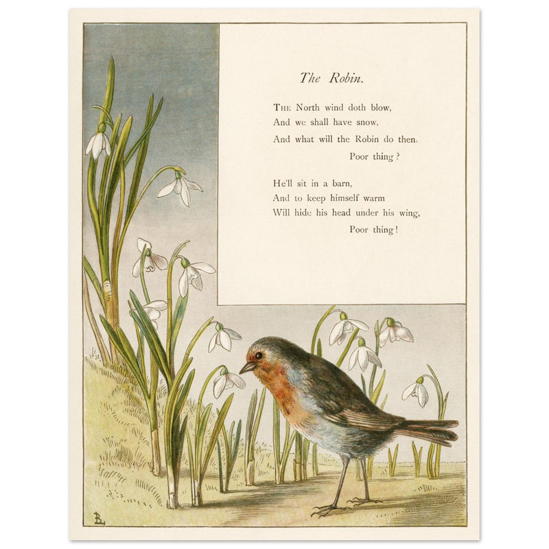 The Robin poem About Robins bird illustration by Lady Lindsay.