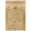Leonardo da Vinci Vitruvian Man drawing  .