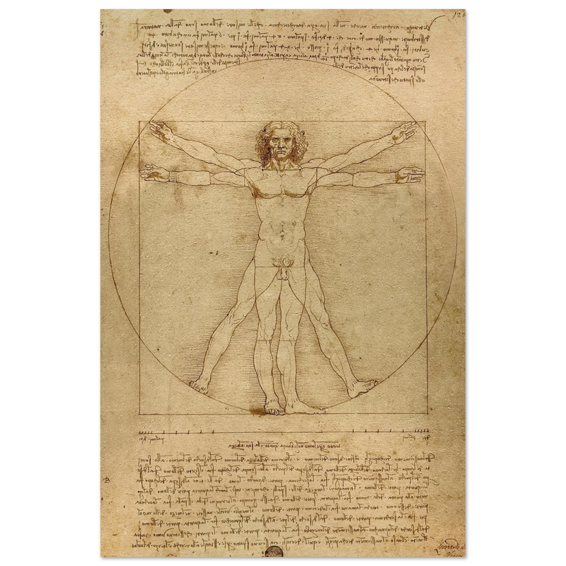 Leonardo da Vinci Vitruvian Man drawing  .