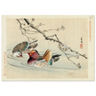 Two ducks by Matsumura Keibun, 1892.