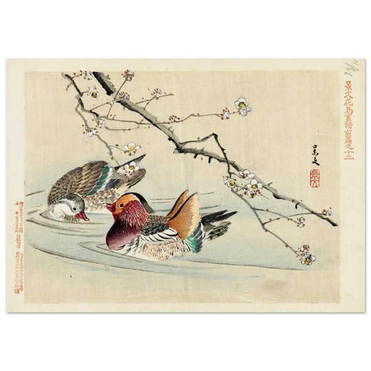 Two ducks by Matsumura Keibun, 1892.