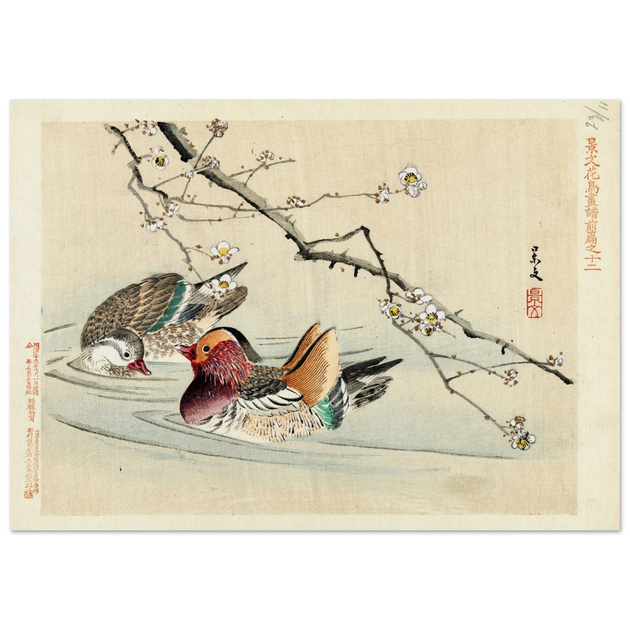 Two ducks by Matsumura Keibun, 1892.