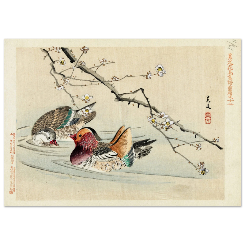 Two ducks by Matsumura Keibun, 1892.