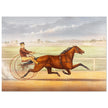 Harness horse racing lithograph. Mr. Bonner's Horse Joe Elliott by John Cameron.
