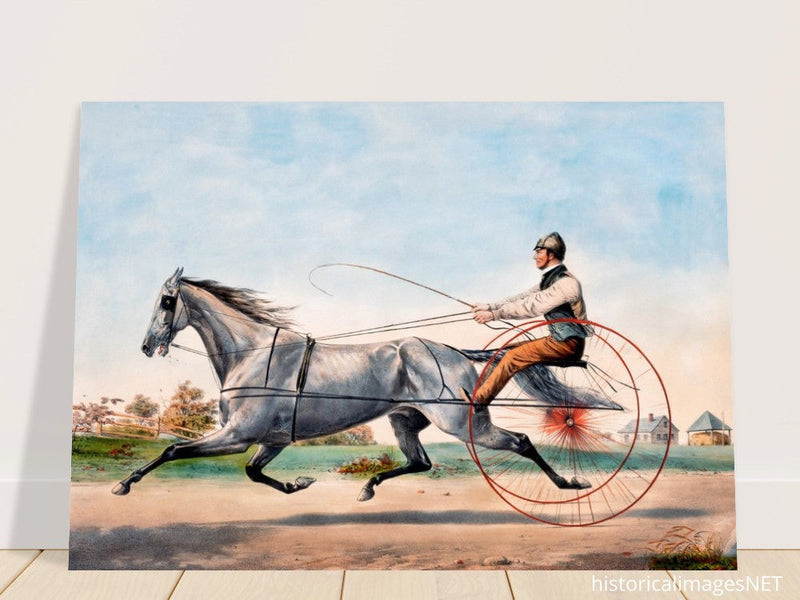 Harness cart horse racing. Grey Eddie by Nathaniel Currier 1855.