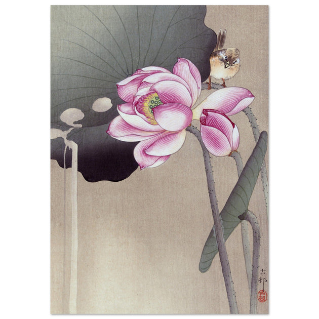 Songbird and Lotus by Ohara Koson woodblock print reproduction