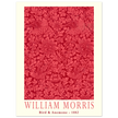 William Morris Bird and Anemone.