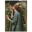 John William Waterhouse painting The Soul of the Rose