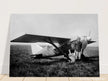 American aviator Roland Rohlfs stands in front of vintage airplane 1920 Fine art