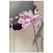Songbird and Lotus by Ohara Koson woodblock print reproduction