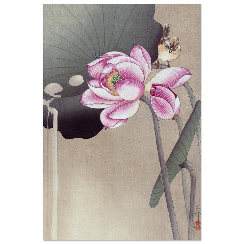 Songbird and Lotus by Ohara Koson woodblock print reproduction