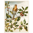 About Robins vintage cute bird illustration by Lady Lindsay.