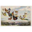 Richard Doyle illustration for Fairyland. The Fairy Queen in her carriage driven by butterflies.