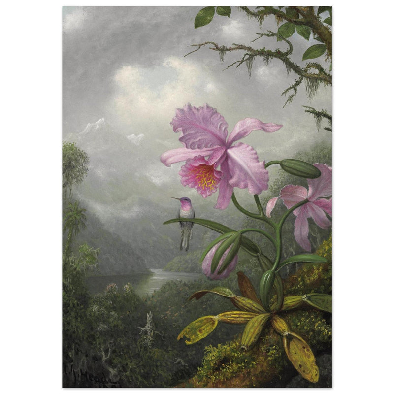 Hummingbird Perched on the Orchid Plant  by Martin Johnson Heade