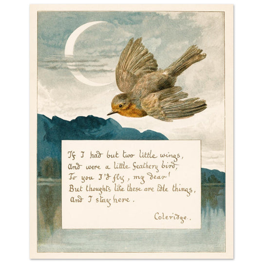 Samuel Taylor Coleridge poem Lady Lindsay About Robins bird illustration