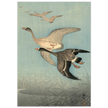 Ohara Koson White fronted geese in flight.