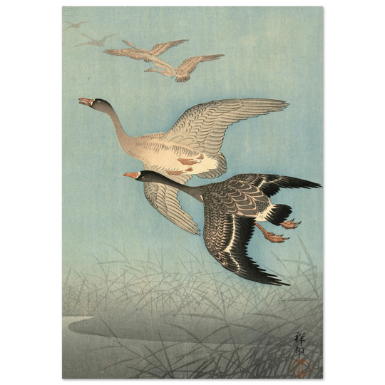 Ohara Koson White fronted geese in flight.