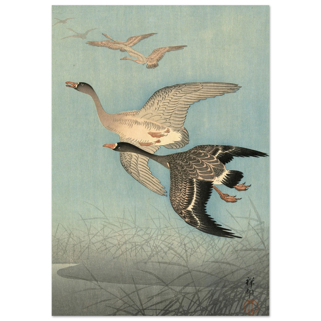 Ohara Koson White fronted geese in flight.
