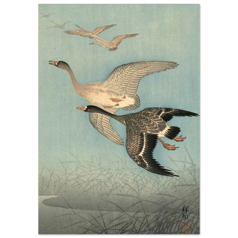 Ohara Koson White fronted geese in flight.