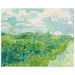 Green Wheat Fields Auvers by Vincent Van Gogh
