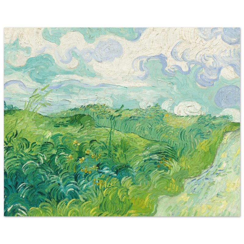 Green Wheat Fields Auvers by Vincent Van Gogh