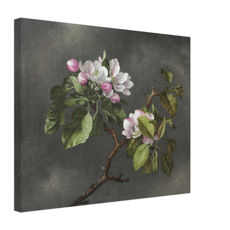 Apple Blossoms flowers by Martin Johnson Heade